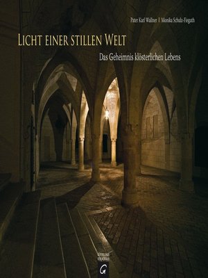 cover image of Licht einer stillen Welt